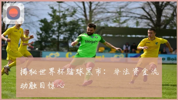 揭秘世界杯赌球黑市：非法资金流动触目惊心