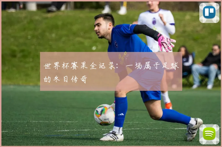 世界杯赛果全记录：一场属于足球的冬日传奇