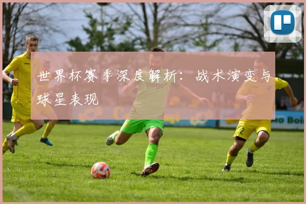 世界杯赛季深度解析：战术演变与球星表现