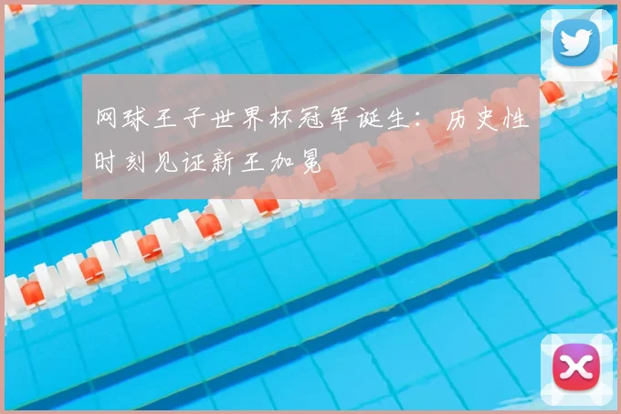 网球王子世界杯冠军诞生:历史性时刻见证新王加冕