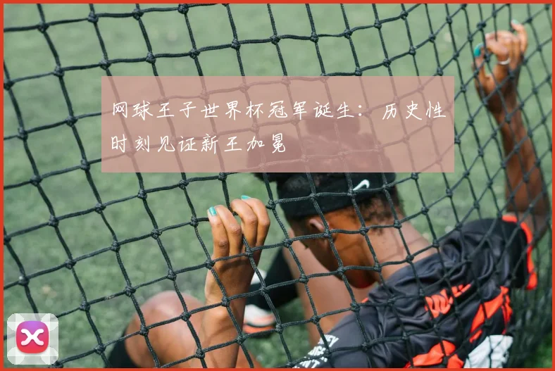 网球王子世界杯冠军诞生:历史性时刻见证新王加冕
