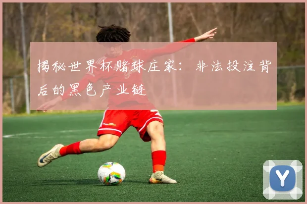 揭秘世界杯赌球庄家：非法投注背后的黑色产业链