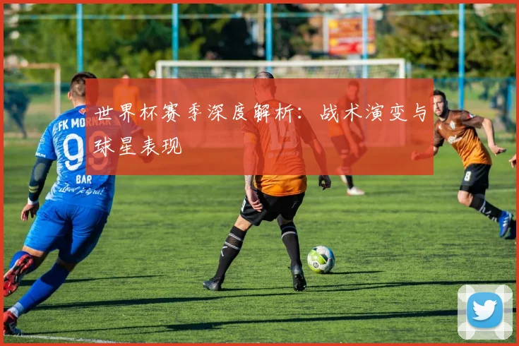 世界杯赛季深度解析：战术演变与球星表现