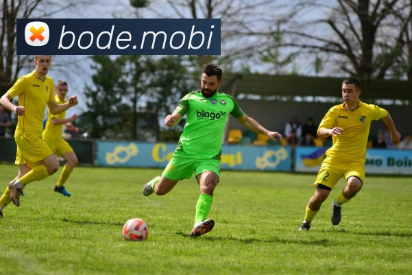 开云手机入口官方网站服务体系