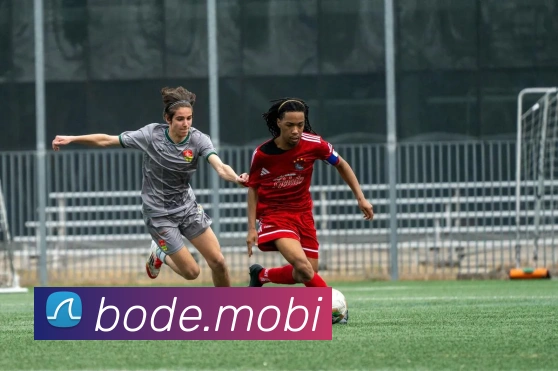 开云手机入口官方网站APP 体育赛事宣传图